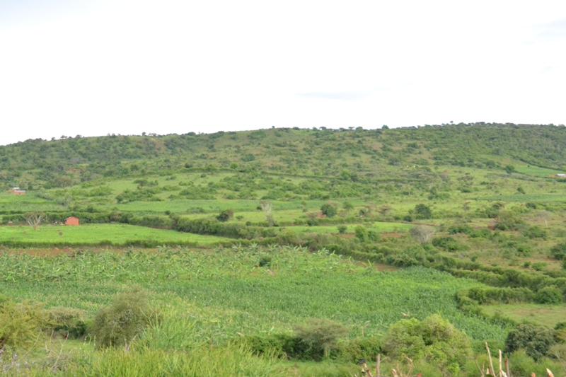 Hasigaye ukwezi kumwe utarakoreye urwuri rwe akarwamburwa