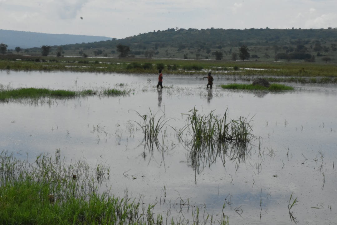 Iburasirazuba: Abantu 100 bapfuye barohamye mu mwaka umwe