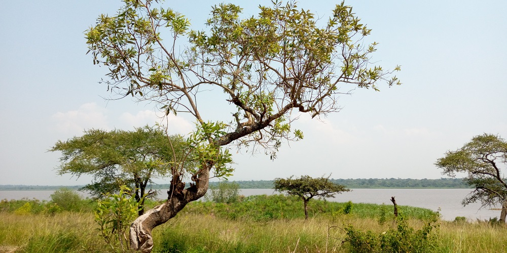 Ibisigisigi by’ishyamba n’ibyiza nyaburanga i Ndego