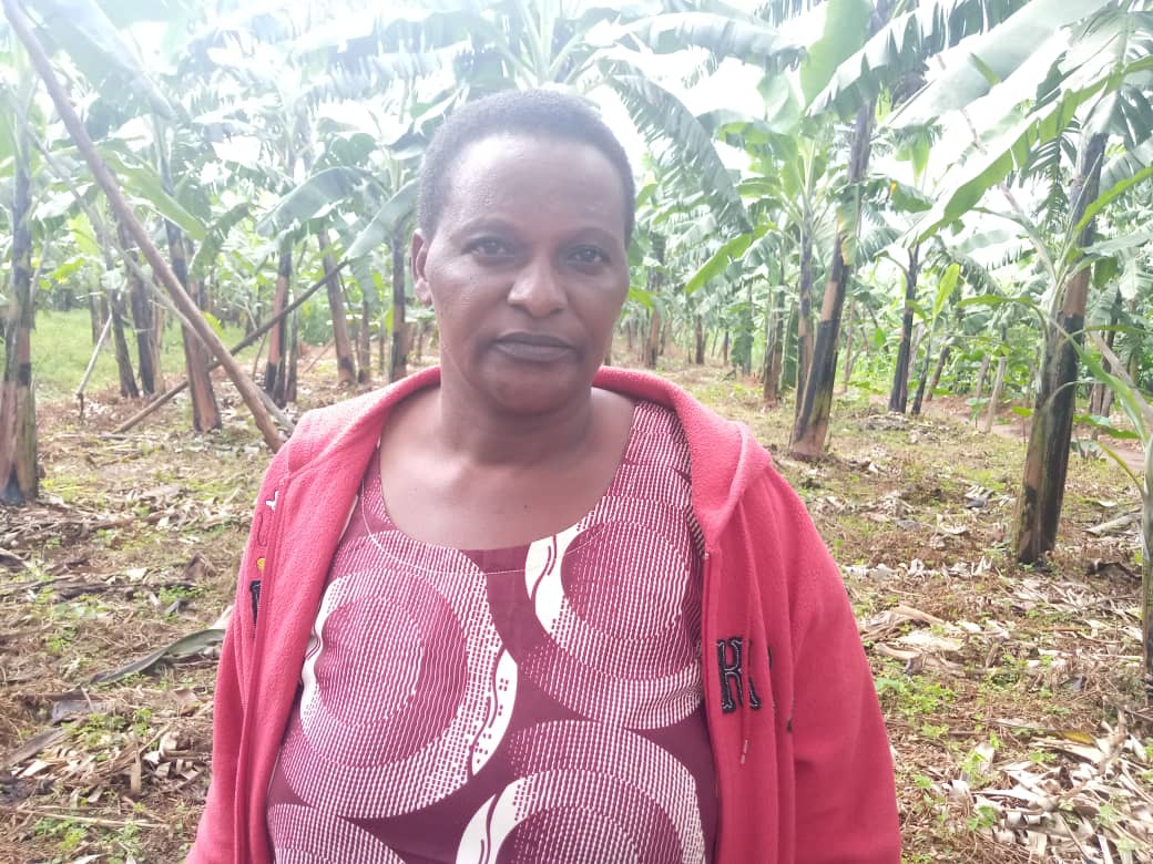 Uko Mukankaka yaretse ubwarimu agahinga urutoki asaruramo toni enye mu kwezi