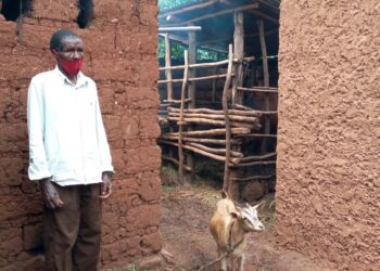 Uko abari muri VUP baharanira kuva mu cyiciro cy’abakene
