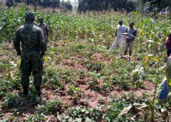 Rwamagana: Hagaragaye imvubu zateye impungenge zo konera abaturage
