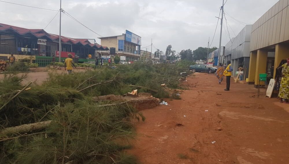 Ibiti byo mu Mujyi wa Kibungo byaratemwe kugira ngo kwagura umuhanda wa kaburimbo bishoboke (Amafoto MUHAZIYACU iyakesha Theodore)