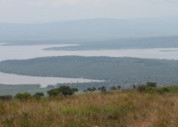 Ibyo wamenya ku biyaga bibarizwa muri Pariki y’Akagera