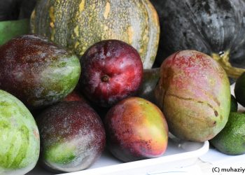 Umuganura: Guverineri Gasana yasabye abahinzi n’aborozi kurushaho gukora cyane