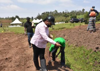 Minisitiri Dr. Mukeshimana yemeza ko hari aho bikigoranye kongera umusaruro w’ubuhinzi