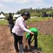 Minisitiri Dr. Mukeshimana yemeza ko hari aho bikigoranye kongera umusaruro w’ubuhinzi