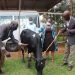 Bugesera: Abaturage basabwe kwimakaza ubumwe n’ubwiyunge nk’intambwe ibaganisha ku iterambere