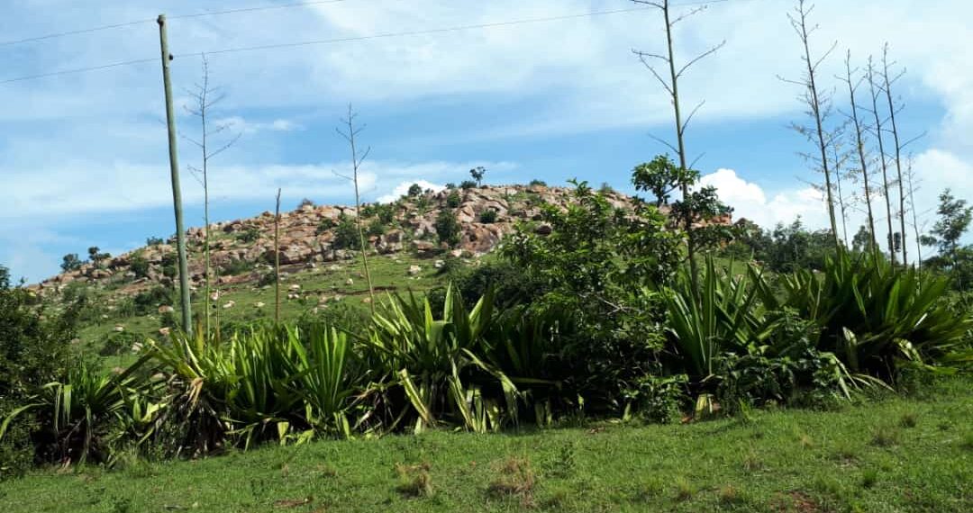 Agatwe ka Musaza