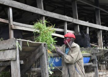 Gatsibo: Abatujwe mu Mudugudu wa Nyabikiri bahamya ko hari impinduka mu iterambere