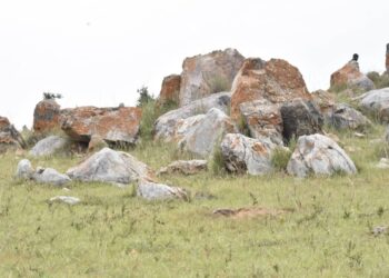 Kirehe: Udusozi twa Nyarubuye dushasheho ibitare tuzagirwa ahantu nyaburanga