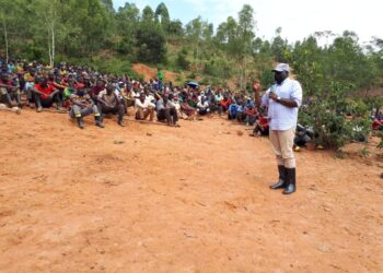 Uturere twa Nyagatare na Kirehe twagenewe miliyari 60Frw yo gutera amashyamba