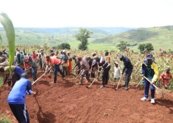 Kayonza: Umuganda wibanze ku bikorwa byo kurwanya isuri