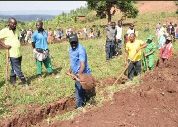 Gatsibo: Meya Gasana yashishikarije abaturage guca imirwanyasuri mu mirima yabo
