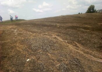 Gatsibo: Urutare rwa Ngarama rugiye kubyazwa umusaruro