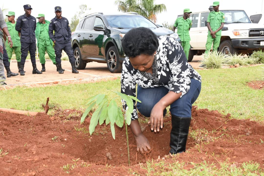 Hatangijwe gahunda yiswe “Gatsibo igwije imbuto” izatwara miliyoni ...