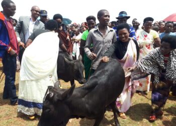 Kirehe: Aborojwe muri ‘Girinka’ batanga ubuhamya bw’uburyo imibereho yabo yahindutse