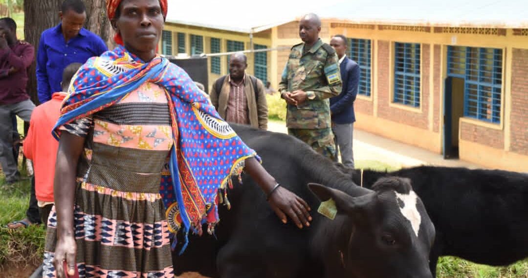 Gatsibo: Inka zirenga ibihumbi 23 zimaze gutangwa muri gahunda ya ...