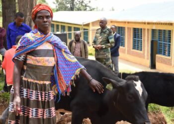 Gatsibo: Inka zirenga ibihumbi 23 zimaze gutangwa muri gahunda ya Girinka