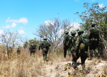 Rwanda welcomes support of European Peace Facility to joint operations in Cabo Delgado