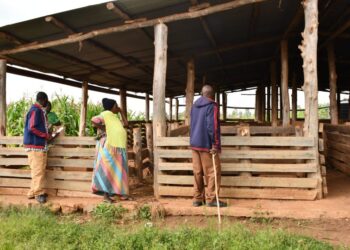 Ngoma: Ibibazo by’itsinda ‘Duharanire kwigira’ n’uko Akarere kagaragaza ko bizahabwa umurongo