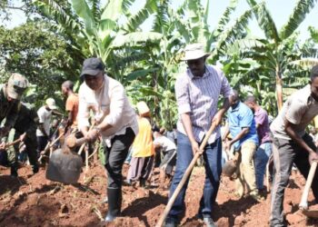 Amafoto: Uko umuganda wagenze hirya no hino mu turere tugize Intara y’Iburasirazuba