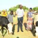 Kayonza: Imiryango 19 yagabiwe inka irashimira Perezida Kagame