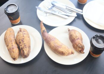 Rwamagana: Barashishikarizwa guhinga ibijumba ku bwinshi kuko hari isoko rikomeye