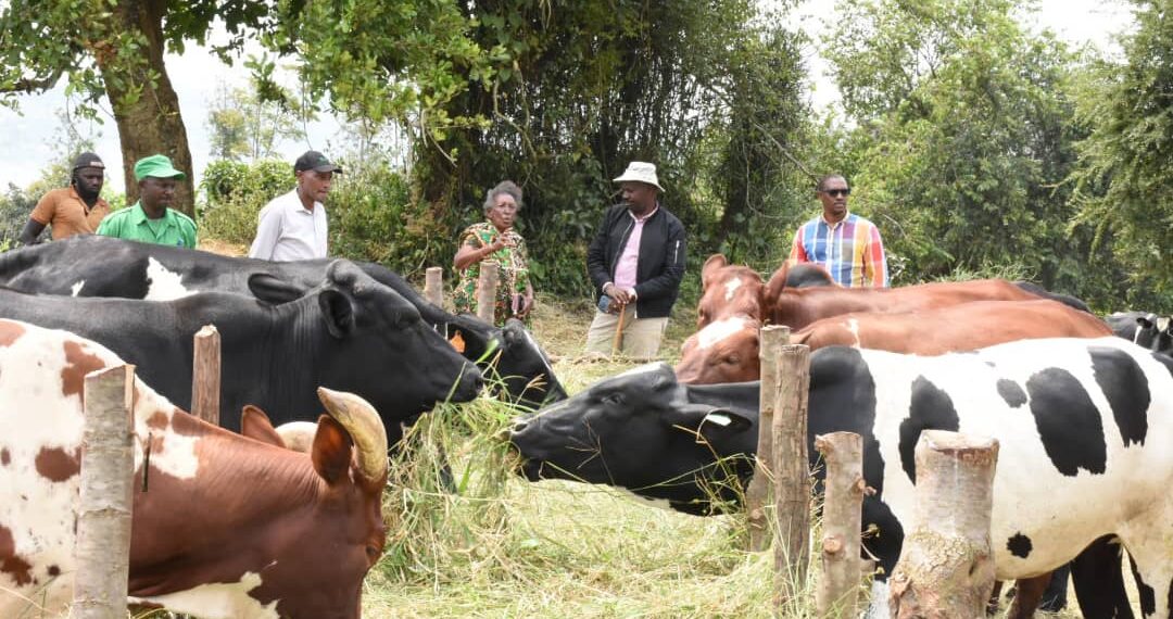 Gatsibo: Umukamo ugeze kuri litiro ibihumbi 42 ku munsi – MUHAZI YACU