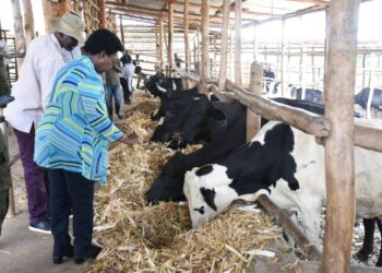 Gatsibo: Min.Nyirahabimana yashishikarije aborozi kwigira ku bororera mu biraro