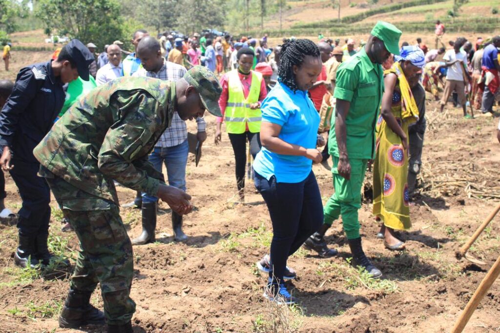 Bugesera: RAB yagize icyo isaba abahinzi batari batera imyaka – MUHAZI YACU