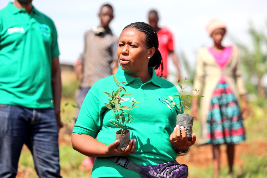 Rwamagana: Abaturage barasaba ingemwe z’ibiti byera imbuto ziribwa ...