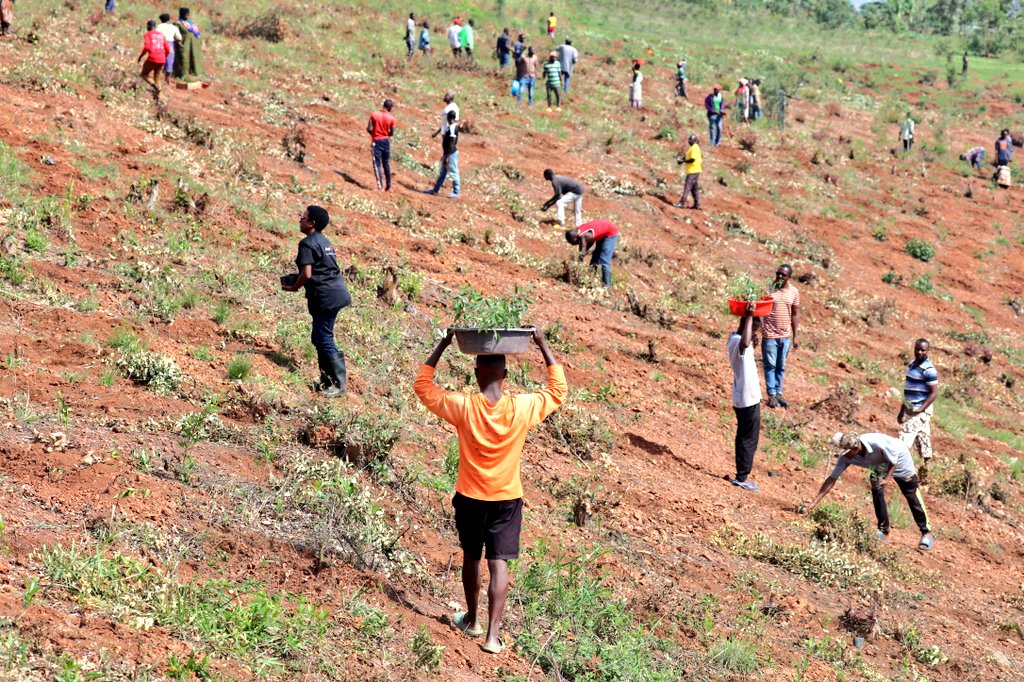 Rwamagana: Abaturage barasaba ingemwe z’ibiti byera imbuto ziribwa ...