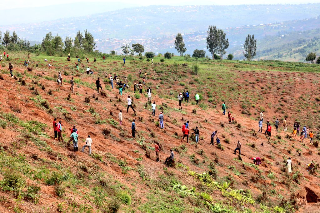 Rwamagana: Abaturage barasaba ingemwe z’ibiti byera imbuto ziribwa ...