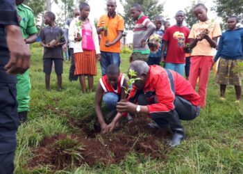 Kirehe: Ubuyobozi bwa GS Mushikiri bwasabwe gukumira ko ibiti byatewe byangizwa
