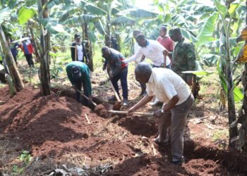 Kayonza: Umuganda wibanze ku bikorwa byo kurwanya isuri no gutunganya imihanda