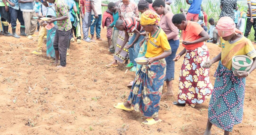 Bugesera: Abahinzi beretswe inyungu yo guhinga kijyambere mu materasi ...