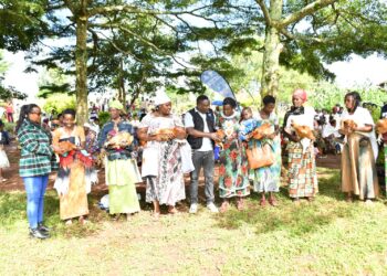 Ngoma: Ababyeyi bapimishije inda inshuro zagenwe bahembwe