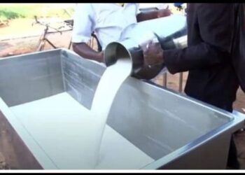 Intara y’Iburasirazuba yashyizwe igorora muri gahunda ya Guverinoma y’imyaka itanu iri imbere