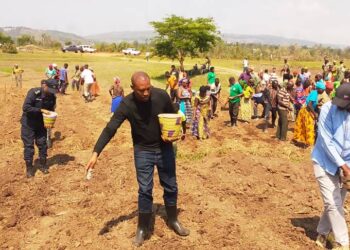 Gatsibo: Abaturage barasaba isoko ry’umusaruro w’ibigori