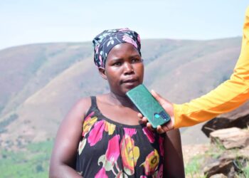 Nyagatare: Barishimira ko ibiti byatewe bizarwanya isuri yajyaga ibatwarira ubutaka