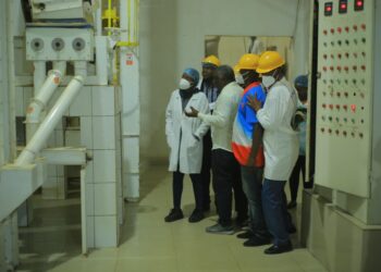Uruganda rw’umuceri rwa Nyagatare Rice rukeneye abaruguramo imigabane