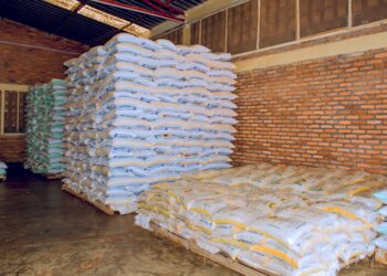 Uruganda rw’umuceri rwa ‘Kirehe Rice’ rwatumye biteza imbere