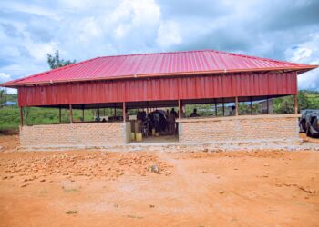 Abacururizaga hasi bananyagirwa muri Buhabwa bishimiye isoko bubakiwe