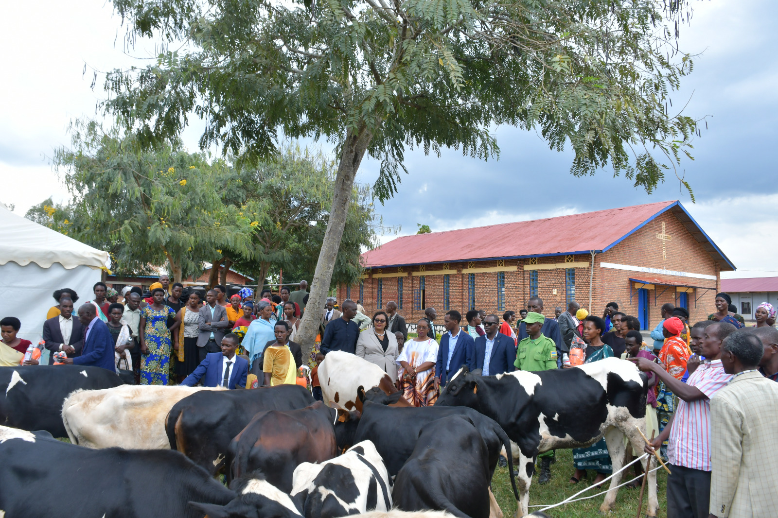 Ngoma: Imiryango itishoboye yorojwe inka 16 – MUHAZI YACU