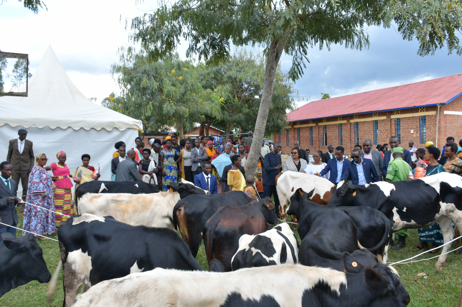 Ngoma: Inka 12,737 zimaze korozwa imiryango ikennye muri Gahunda ya ...