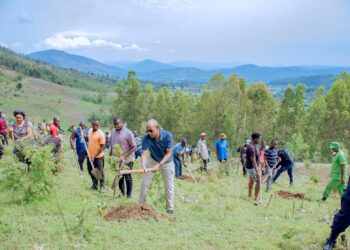 Nyagatare: Abaturage basabwe kubungabunga ibidukikije, buri rugo rugatera ibiti 10
