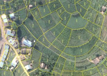 Nyagatare: Mu mezi ane, hegitari 23,000 z’ubutaka bugiye kubarurwa kuri ba nyirabwo