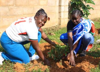 Chelsea FC fans from Rwanda, Kenya and Uganda plant trees to beautify Bugesera Stadium