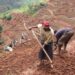 Guhagarara kwa gahunda zimwe za VUP no kudahemba abafashwa, ubuyobozi bwabigarutseho i Ngoma